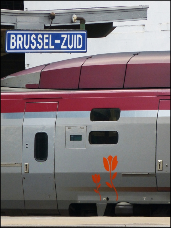 . Orangefarbene Tulpen fr den Thalys - Zum Glck kein Graffito, sondern das nationale niederlndische Symbol ziert den Thalys 4345 zum Thronwechsel in den Niederlanden. 10.05.2013 (Jeanny)