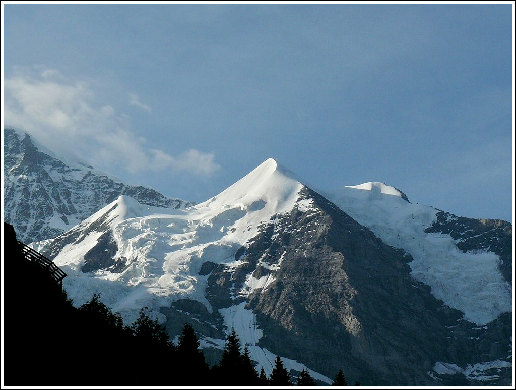 Die Silberhrner (3695 m) aus der Wengernalpbahn fotografiert am 30.07.2008. (Hans)