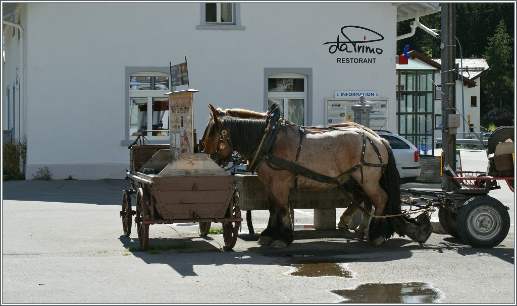  Nahverkehr Val Bever  obwohl das Restaurant  da Primo  heute geschlossen hat, kommen zumindest die Pferde zu ihrer wohlverdienten Erfrischung in Bever, bevor sie noch eine letzte Hin und Rckfahrt absolvieren mssen. 
12.09.2011