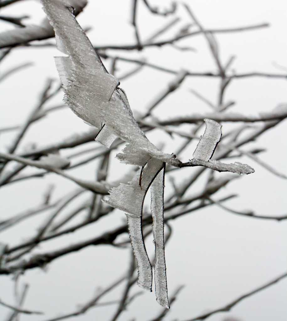 Winterliche Impressionen
Pnktlich zum 1. Dezember  hat der Winter auf dem Westerwald Einzug gehalten. 
Die Nebeltrpfchen werden zu Eis an den Bumen, bei Nisterberg am 01.12.2014.