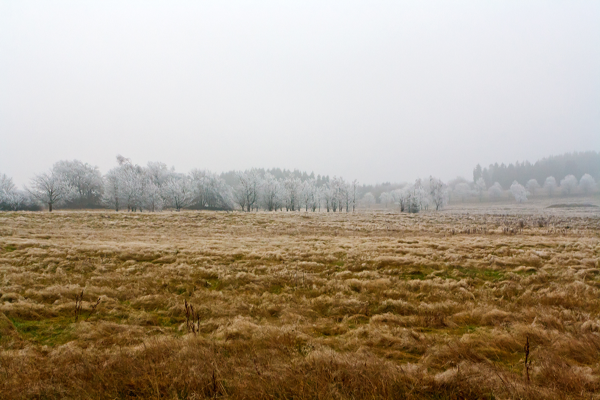 
Winterliche Impressionen
Pünktlich zum 1. Dezember  hat der Winter auf dem Westerwald Einzug gehalten. 
Die Nebeltröpfchen werden zu Eis an den Bäumen. 
Hier ein Blick in die Landschaft bei Nisterberg am 01.12.2014.