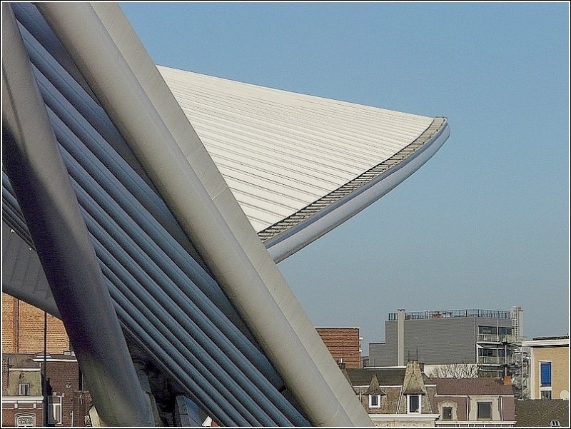 Das Dach des Bahnhofs Lige Guillemins einmal anders gesehen. 27.12.08 (Jeanny)