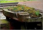 Miniaturgarten auf einem alten Eisenbahnwagen.
