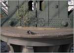 Nachdem nun schon einiges zur  Schwebenden Brcke ber die Musel  zu sehen und hren war, hier nun Abwechslung bedacht, ein Detail-Bild eines Brckenpfeilers welcher die Zge ber die Themse fhrt.
London, den 18. April 2010