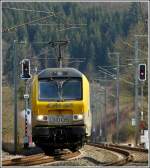 Wenn man im Begriff ist, Eidechsen an der Bahnstrecke zu fotografieren, gelingt einem nur eine Frontalansicht der 3005 in der Nhe von Wilwerwiltz.