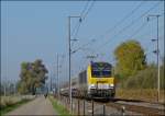 Die 3006 braust mit dem IR 115 Liers - Luxembourg am 25.10.2012 durch das Alzette Tal zwischen Mersch und Lintgen.