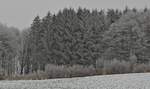 Winterimpressionen nahe Wiltz, mit Raureif überzogene Bäume, nahe einem Wanderweg in Erpeldange.