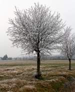 
Winterliche Impressionen
Pünktlich zum 1. Dezember  hat der Winter auf dem Westerwald Einzug gehalten. 
Die Nebeltröpfchen werden zu Eis an den Bäumen. 
Hier ein Blick in die Landschaft bei Nisterberg am 01.12.2014.