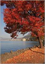 Herbst am Genfersee.