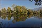 Herbstzeit am Rhone Delta, Genfersee.