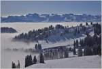 Die Sicht ins Tal ist durch den Nebel versperrt, dafür sorgt gerade diese Stimmung für ein wunderschönes Winterfoto oberhalb des Nebels.
