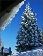 Winter/246381/winter-auf-les-pliades-19122012 Winter auf Les Pliades.
( 19.12.2012)