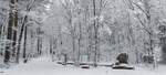 Diverses/908797/denkmal-am-parkplatz-zum-gedenken-an Denkmal am Parkplatz zum Gedenken an die Ardennenoffensive 1944/45 mit dem Start zum Rundweg, nahe dem Schumann bei Wiltz, mit fast den selben Wetter Konditionen wie im Winter 1944/45.  11.01.2026