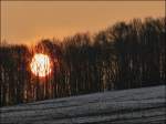 . Winterlicher Sonnenaufgang. 23.02.2013 (Jeanny)