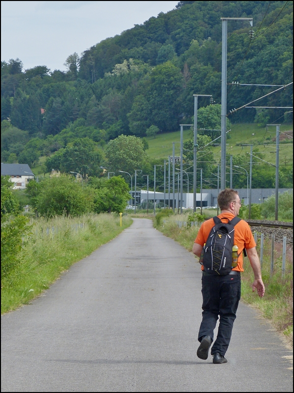 . Auf der Suche nach einer geeigneten Fotostelle in der Nhe von Lintgen. 15.06.2013 (Jeanny)