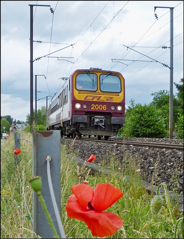 . Weniger Klatschmohn, dafr mehr Linse - Die Durchfahrt des Z 2006 am 15.06.2013 in der Nhe von Mersch ermglichte mir nicht nur die schnen Blumen mit aufs Bild zu nehmen, sondern auch noch einen Bahnfotografen mitsamt seiner Aissitentin. ;-)
(Jeanny) 