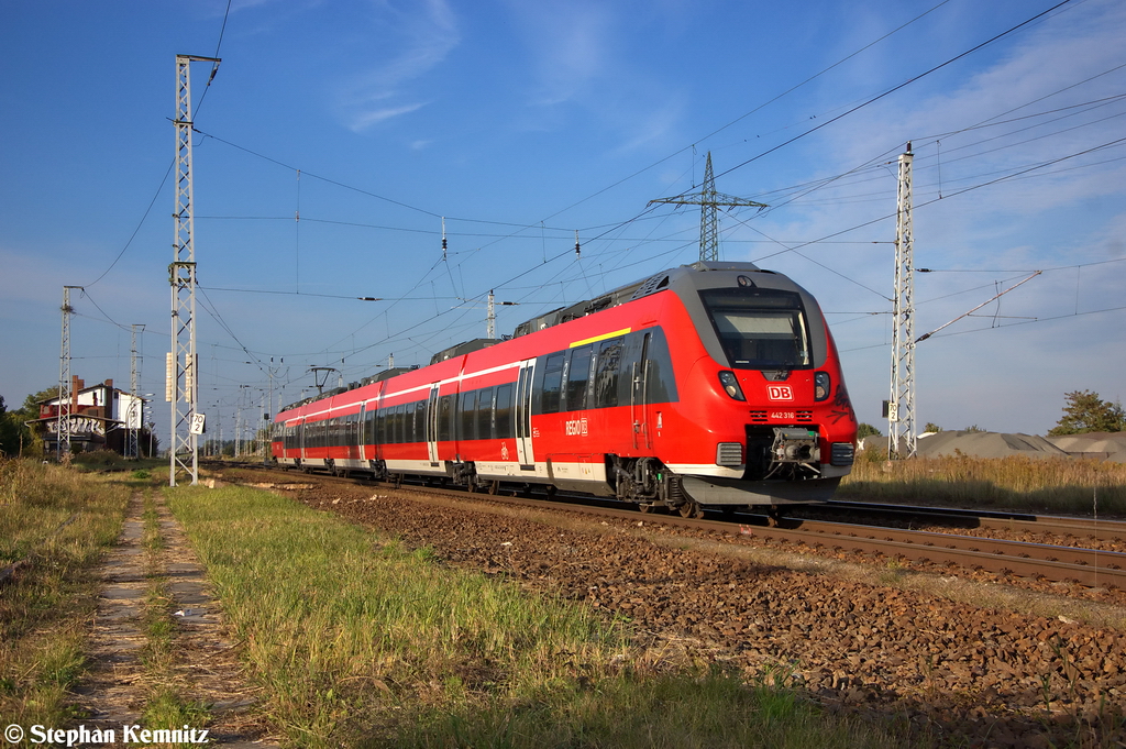 442 316/816 als RB20 (RB 28711) von Birkenwerder(b Berlin) nach Potsdam Hbf in Satzkorn. 02.10.2012