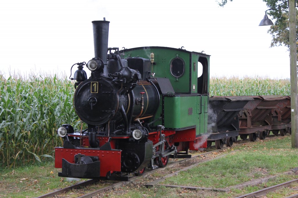 Das Herz des Vereins Die Henschel Und Sohn Dampflok. Sie Trgt die Nummer 1. Sie Gehrte Frher dem Tv Nord. Am 03.10.2011 Stand sie Oben beim Museum Ltjenkamp  und Wartet das ihr zug Wieder Reinzogen wird Von der Dieselok.