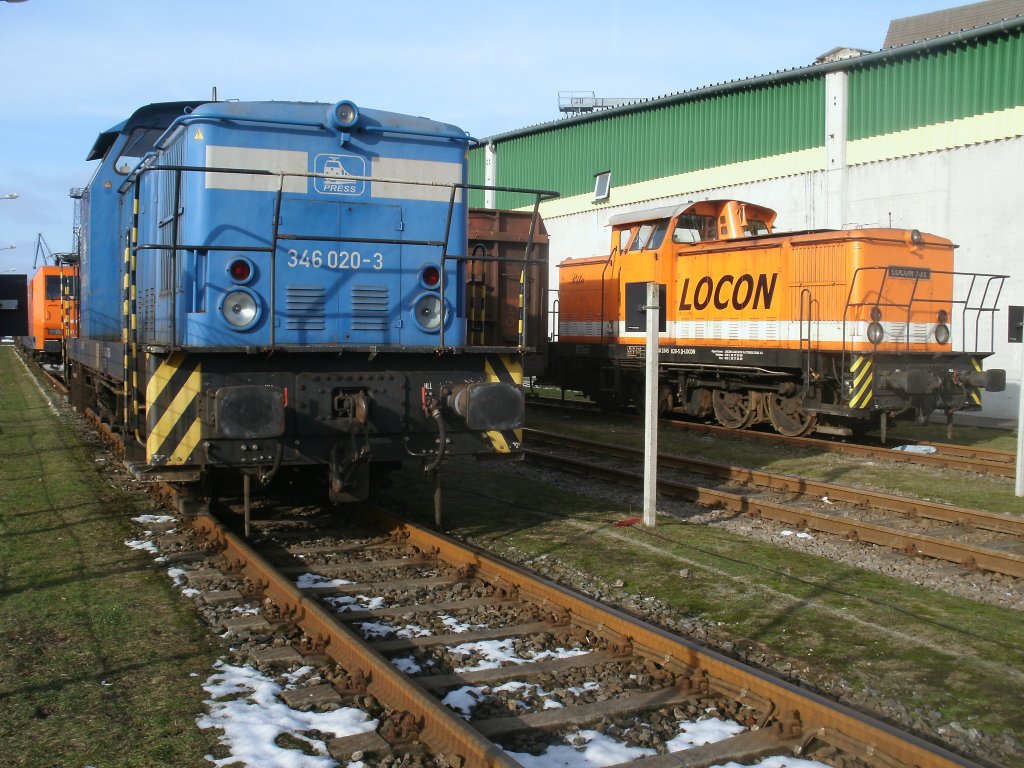 Drei verschiedene Loks von drei Unternehmen weilten,am 27.Februar 2013,im Stralsunder Nordhafen.PRESS 346 020-3,LOCON-101 und EKO Trans 145-CL002.