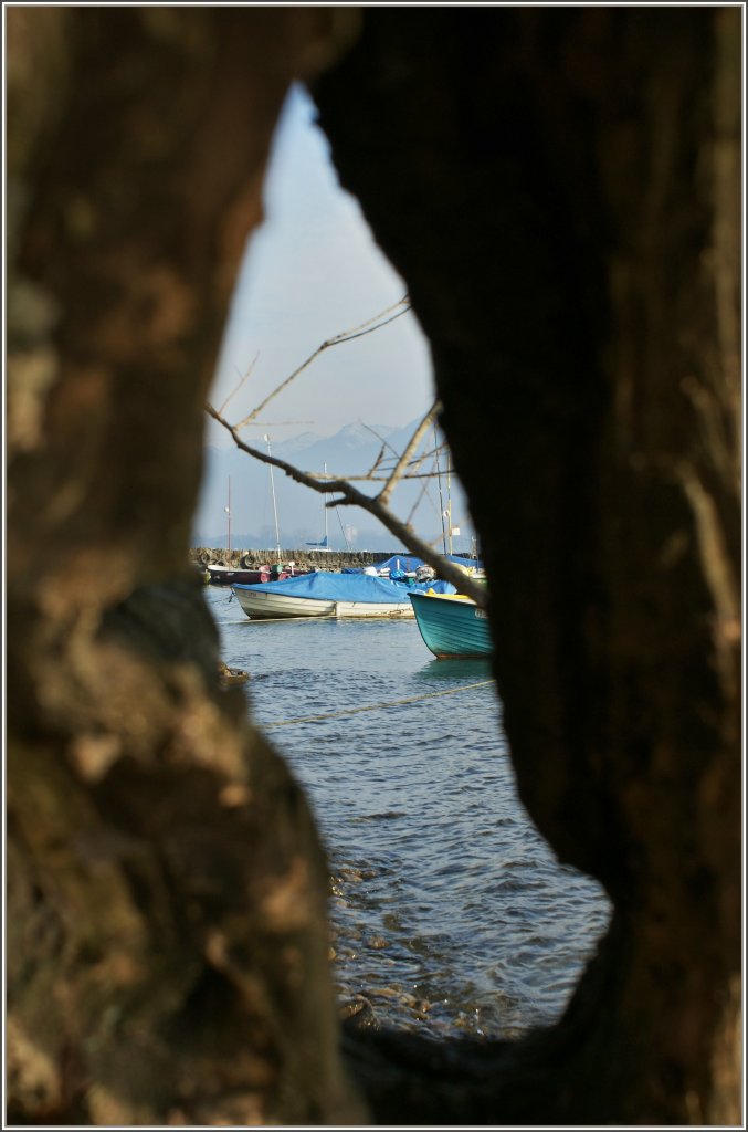 Durchblick
(23.01.2012)