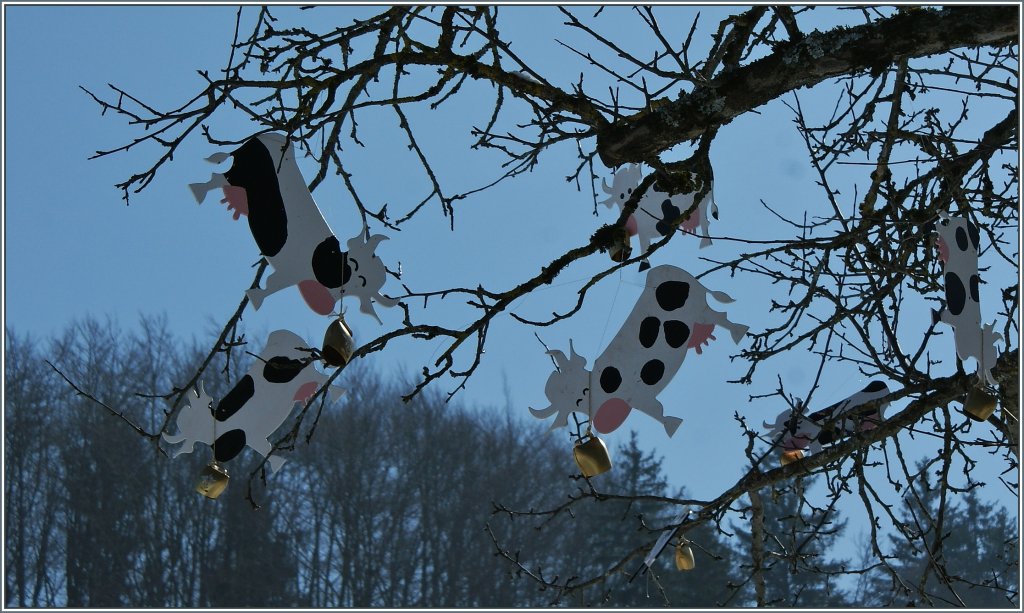 Es w�chst nicht immer nur Obst an den B�umen...
(26.02.2013)