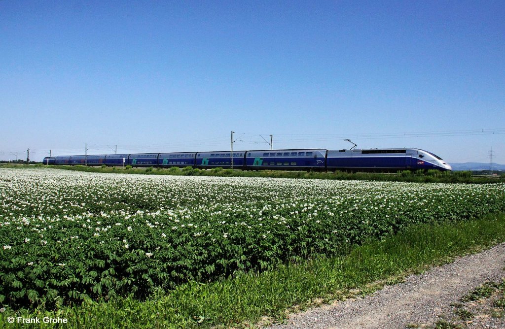 Franzsischer TGV im bayerischen Kartoffelfeld! SNFC TGV 4701 auf Messfahrt von Plattling nach Straubing, KBS 880 Nrnberg - Passau, fotografiert bei Strakirchen am 29.06.2011