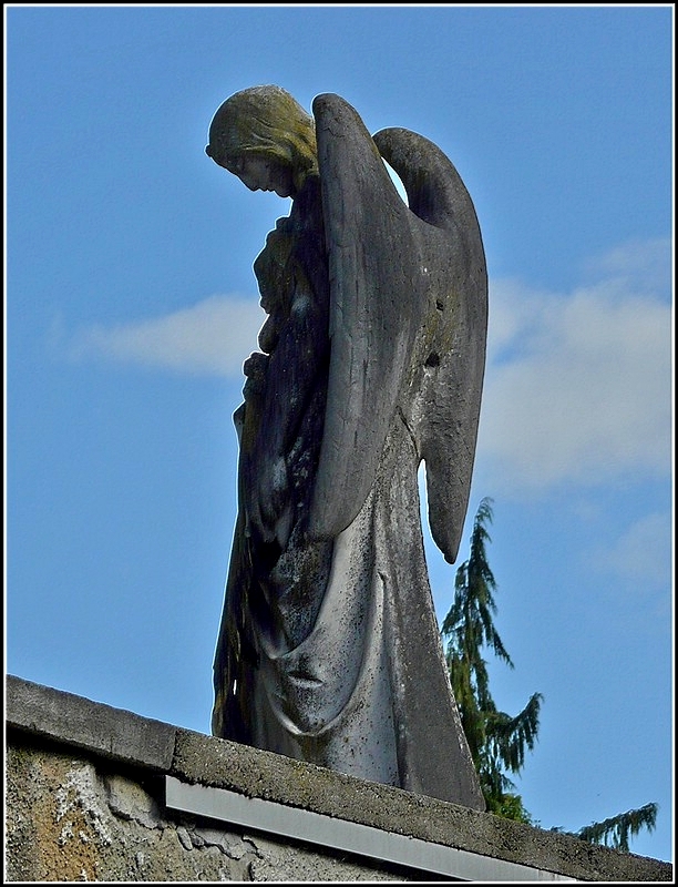 Impression vom Friedhof in Passau. 16.09.2010 (Jeanny)