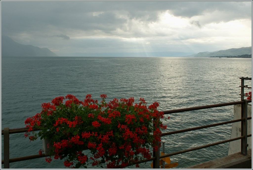 Licht- und Schattenspiel am Genfersee. 
28. Juli 2011