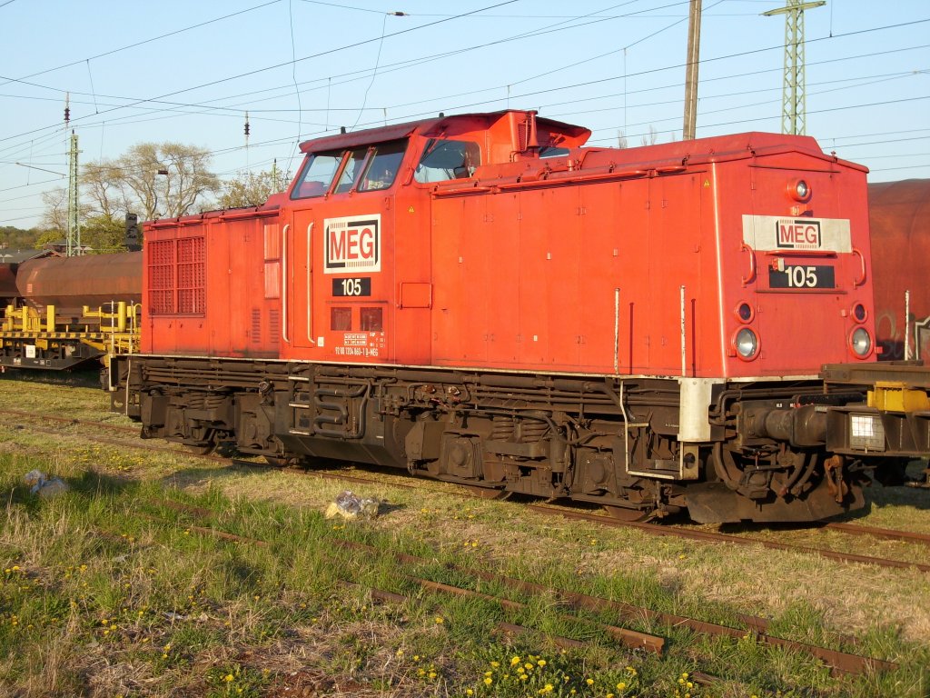 MEG-105 sonnt sich am 25.April 2009 in Bergen/R�gen in der Abendsonne.