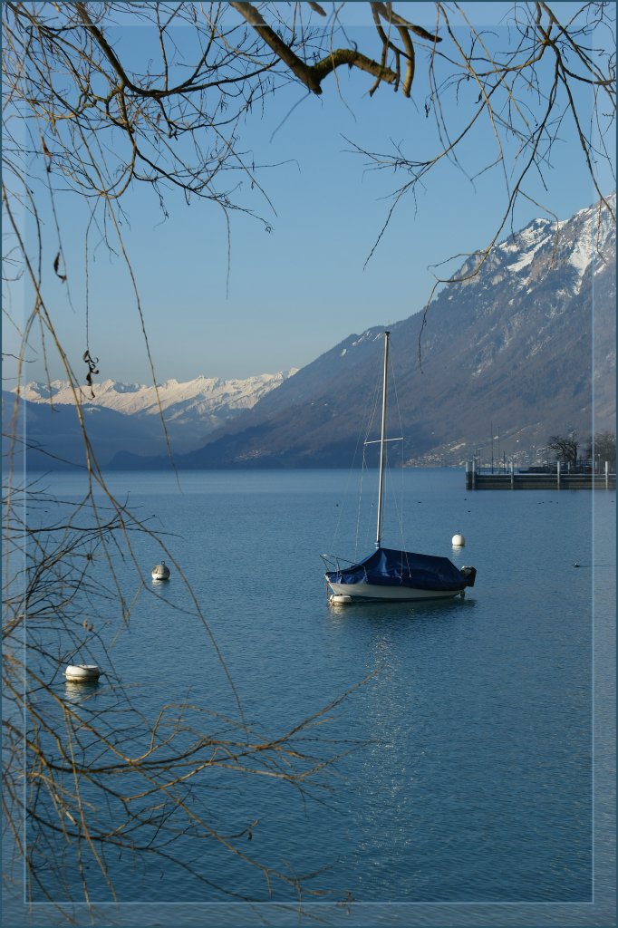 Milder Winter am Brienzersee.
Feb 2011