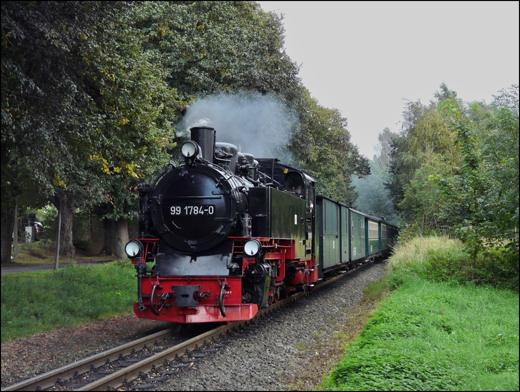 Nachdem der Rasende Roland den Kleinbahnhof in Binz verlassen hat, muss es sofort eine leichte Steigung in Angriff nehmen auf seiner Reise nach Ghren. Die Dampflok 99 1784-0 stammt aus dem Jahre 1953 ist eine Vertreterin der Neubaudampfloks der Deutschen Reichsbahn, welche die Entwicklung der Dampflok fr Schmalspurbahnen abschlossen. Sie gehrt zur Gattung der K 57.9 und wurde unter de Fabriknummer 32023 bei LKM in Babelsberg gebaut. 22.09.2011 (Hans)