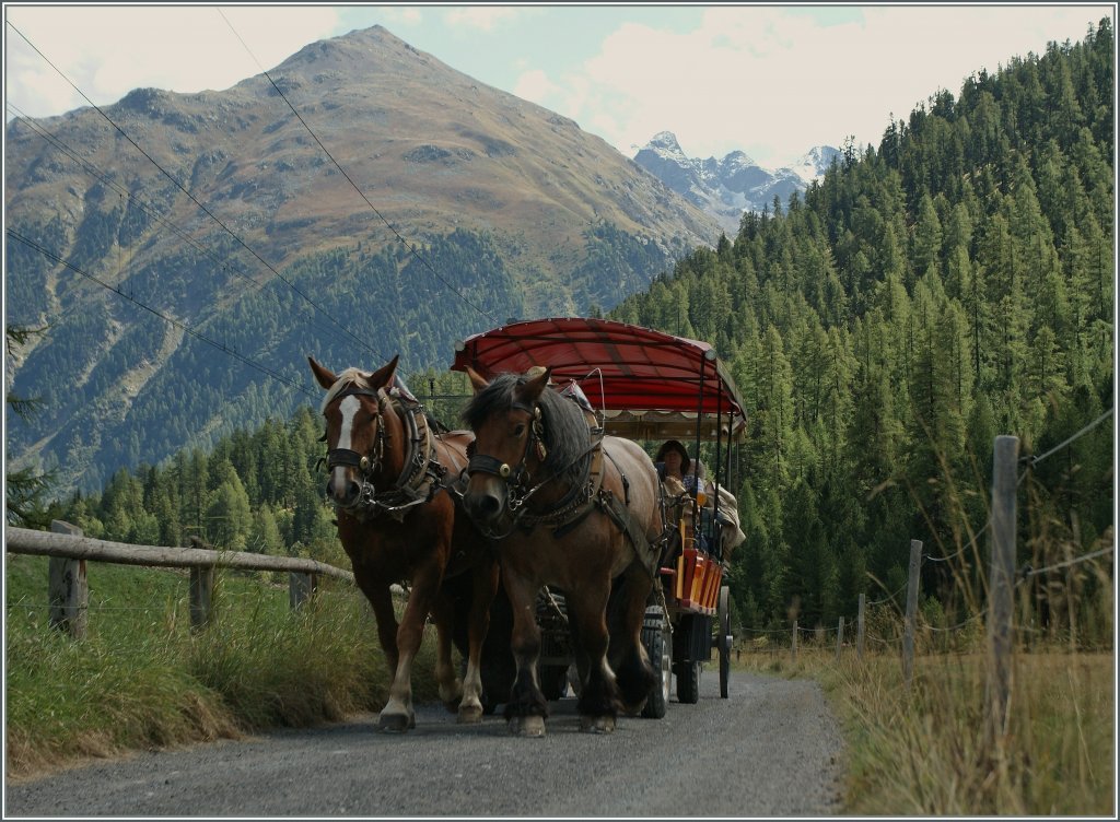  Nahverkehr im Val Bever : neben den wenigen RhB Zgen die Spinas halten, verkehrt auch dreimal tglich nach festem Fahrplan in Pferdefuhrwerk von Bever nach Spinas. 
12.09.2011