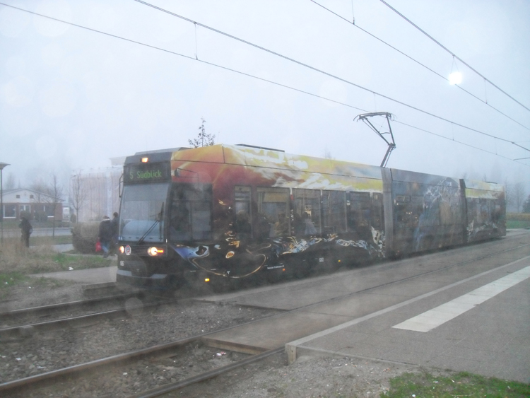 NGT6 mit neue Werbung fuhr am 13.04.10 als Linie 5 von 
Mecklenburger Allee, Rostock Richtung Sdblick, Rostock 