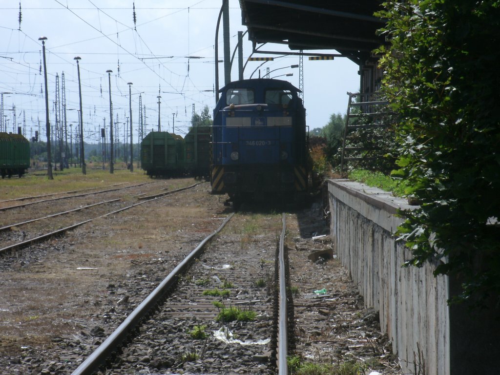 PRESS 346 020-3,am 30.Juli 2013,auf dem Ladegleis in Bergen/R�gen.