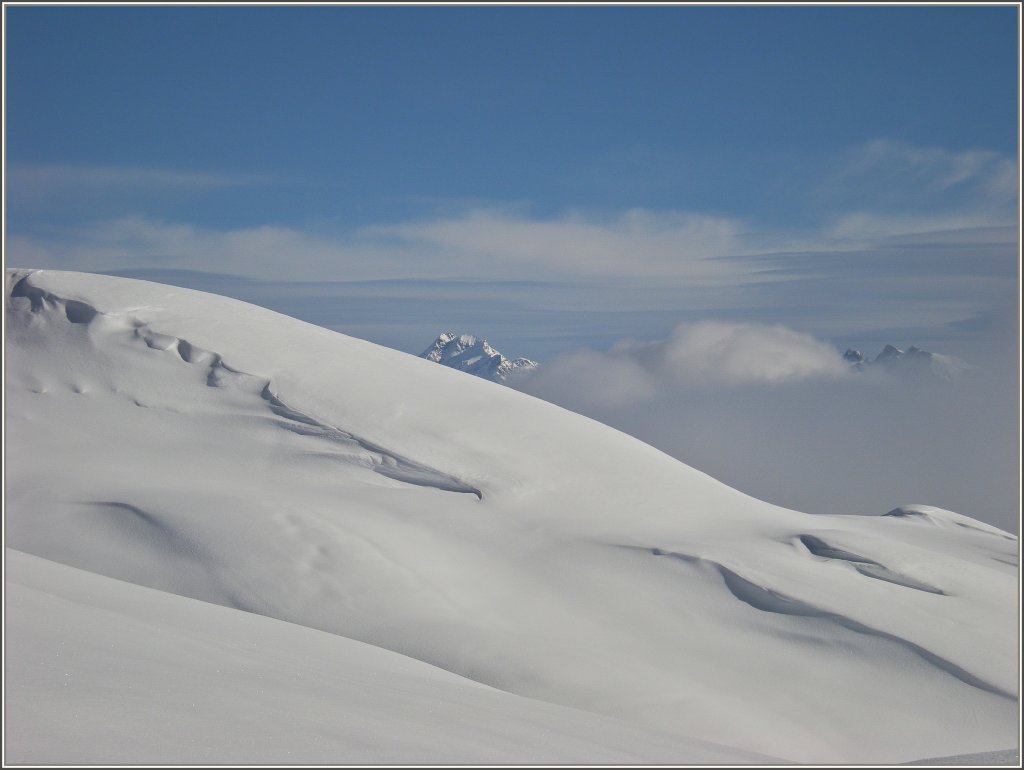 Schneed�nen
(28.01.2009)