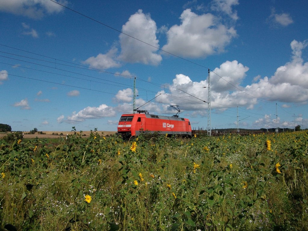 Strahlenblauer Himmel und eine Wiese voller Sonnenblumen so war am 31.August 2010 152 007 bei Samtens unterwegs.