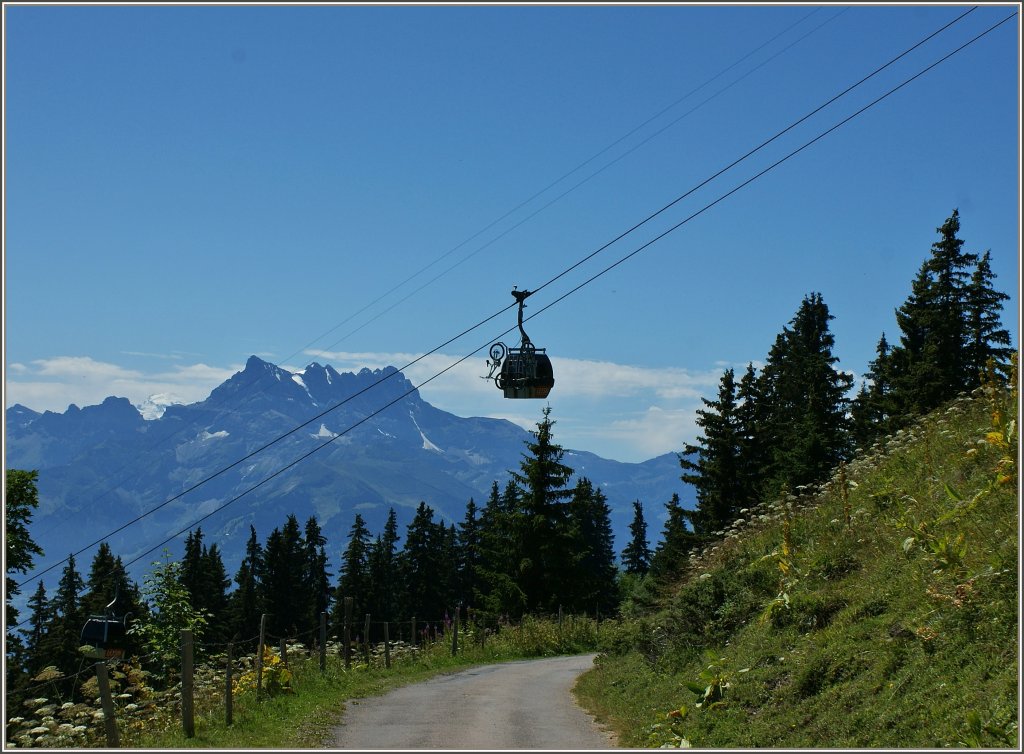 W�hrend die Mountainbikefahrer die Gondelbahn nutzen, geniessen wir den Wanderweg auf die Berneuse(2045 m.�.M).
(11.08.2011)