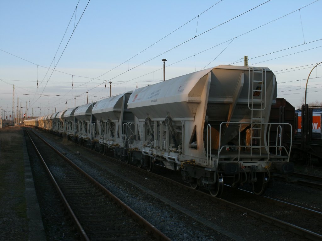 Whrend diese tschechischen Faccns-Wagen,am 05.Mrz 2012,auf die Entladung warteten,wurden auf der Ladestrae in Bergen/Rgen der zweite Teil bereits entladen.