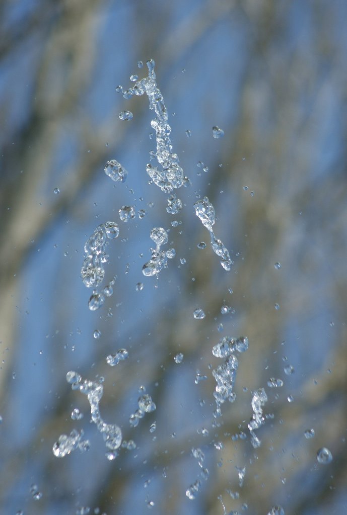 Wassertropfen 
(16.04.2010)