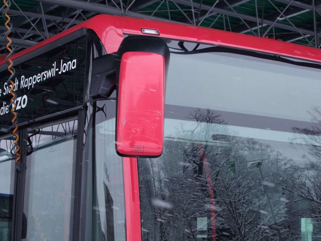Zerkratzter R�ckspiegel vom RJ Bus NR.206 am 12.2.13 