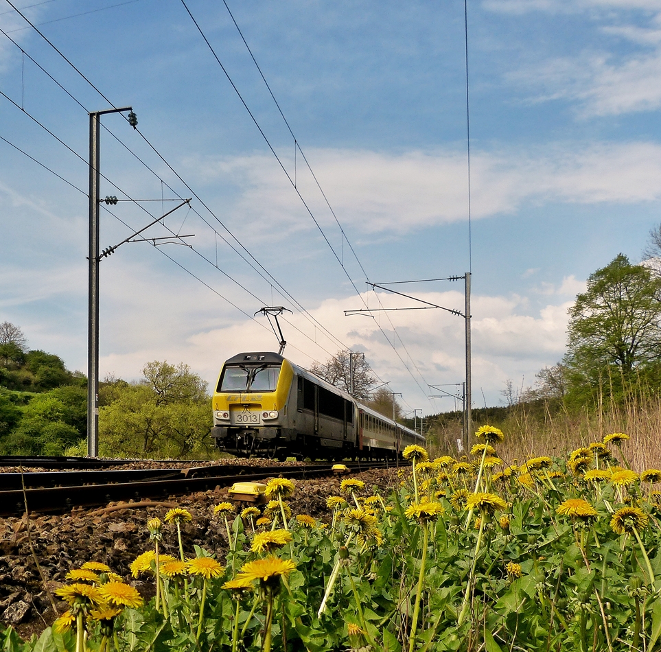 . Die 3013 zieht am 25.04.2014 den IR 119 Liers - Luxembourg durch das blhende Tal der Clerve zwischen Drauffelt und Enscherange. (Jeanny)