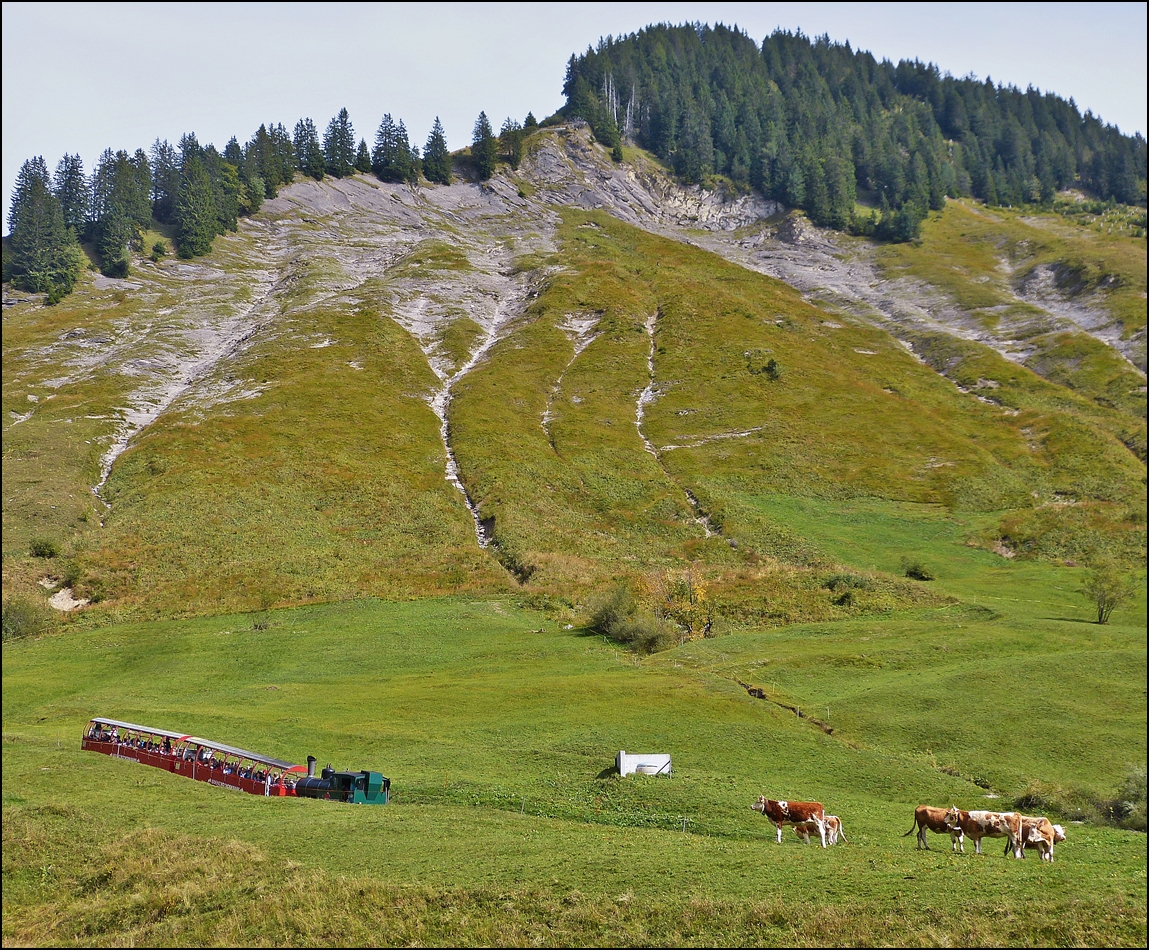 . Die Linsenputzer hatten definitv die bessere Sicht auf den bergwrts fahrenden BRB Zug in der Nhe von Planalp. 28.09.2013 (Jeanny)