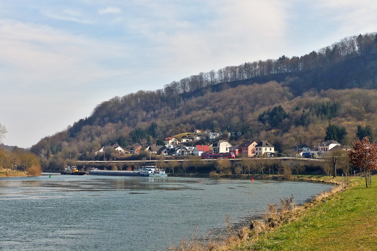 . Ein unerkannt gebliebener Baby Hamster befhrt am 17.03.2015 die Obermoselstrecke (KBS 692) und wird bald die Haltestelle Oberbillig erreichen, whrend auf der Mosel reger Schiffsverkehr herrscht. (Jeanny)