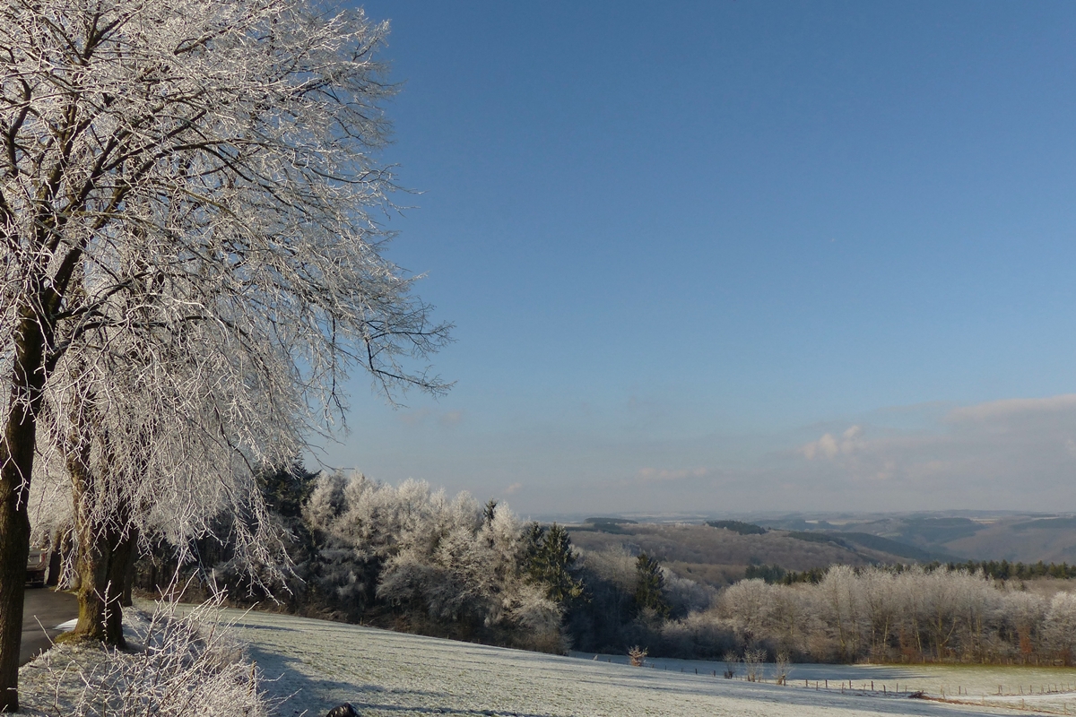 . Mit dieser winterlichen Lanschaft w�nschen wir Euch allen ein gesegnetes Weihnachtsfest und f�r das kommende Jahr alles erdenklich Gute. Heiderscheid, 20.01.2015 