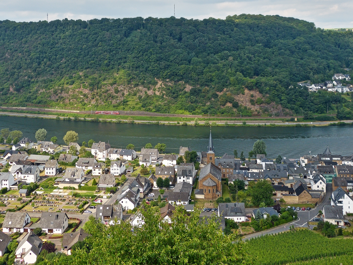 . Spot an fr den Baby Hamster auf der Moselstrecke zwischen Lf und Kattenes - Etwas unterhalb der Burg Thurand hat man eine wunderschne Aussicht auf den Moselort Alken und die Moselstrecke. 21.06.2014 (Jeanny)