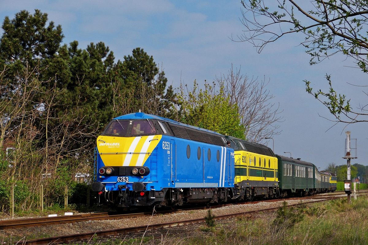 . Wie versprochen zeige ich noch zwei Bilder der HLD 6253 in der neuen Infrabel Farbgebung - Whrend der TSP/PFT Sonderfahrt  Hommage aux locos de la Srie 62  am 05.04.2014 konnte die schne Lok im Bahnhof von Zelzate bildlich festgehalten werden.(Hans)