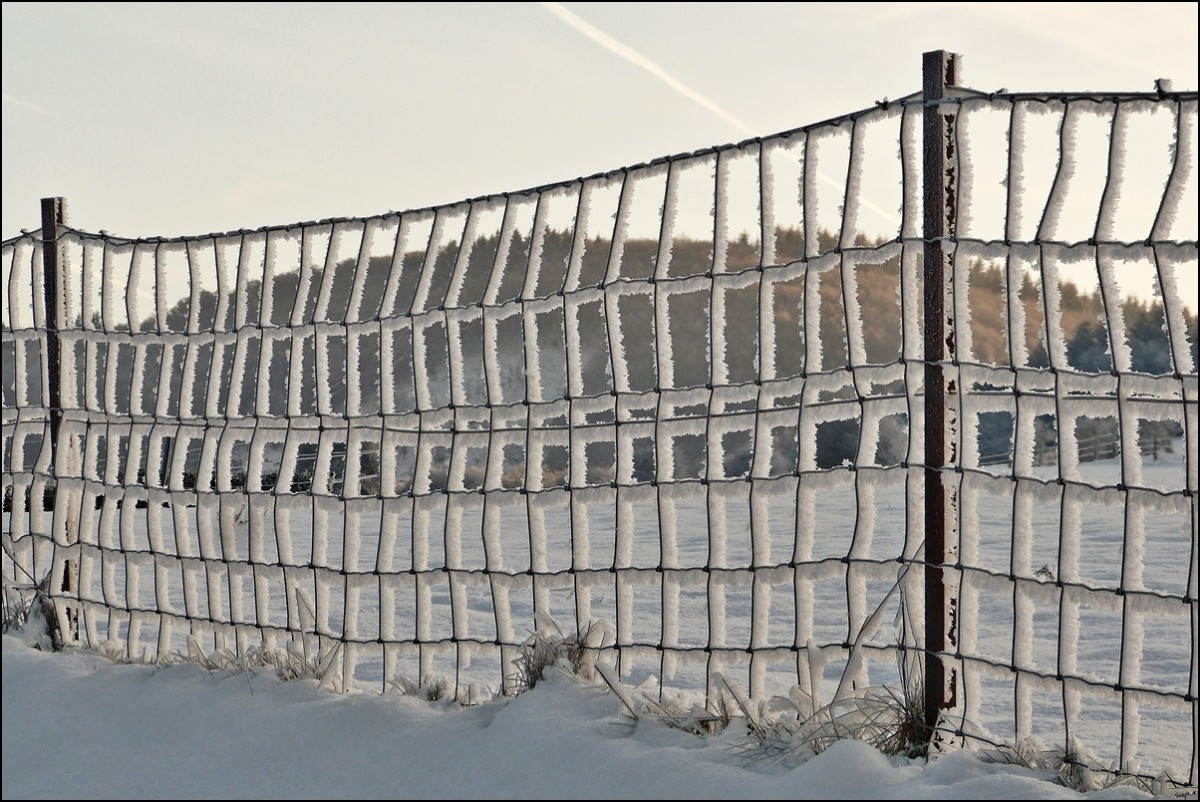 . Winter in Erpeldange. 18.01.2016 (Hans)