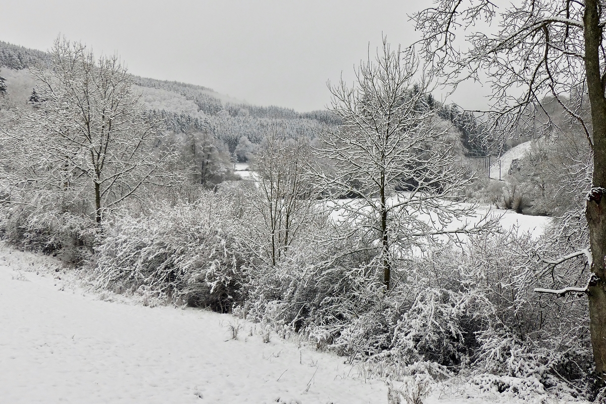 . Winterliche Aussicht auf die Nordstrecke in Drauffelt. 27.12.2014 (Jeanny)
