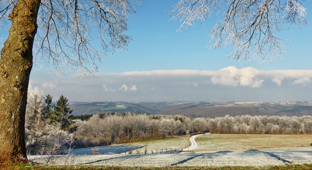 . Winterliche Landschaft. 20.01.2015 (Jeanny)