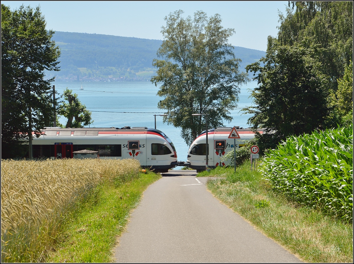 10 Jahre Seehas mit der SBB.

Eine Doppelgarnitur Seehasen am unbeschrankten Bahnübergang bei Allensbach. Juni 2015.